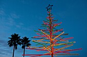 Tropical Christmas Tree