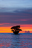 Sonnenuntergang in der Cenderawasih Bucht, Cenderawasih Bucht, West Papua, Indonesien