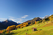 Meadows of Telfes with farm sheds and larches in autumn colours with Stubai range in background, Telfes, valley of Stubai, Stubai range, Tyrol, Austria, Europe