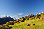 Telfeser Wiesen mit Holzstadel und herbstlich verfärbten Lärchen mit Stubaier Hauptkamm im Hintergrund, Telfes, Stubaital, Stubaier Alpen, Tirol, Österreich, Europa