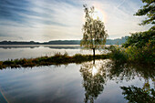 Hammer Pond, Doberlug Kirchhain, Administrative District Elbe Elster, Land Brandenburg, Germany