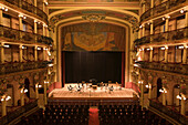 Interior of Teatro Amazonas Manaus opera house, Manaus, Amazonas, Brazil, South America