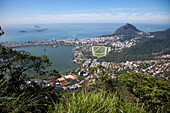 View from funicular cable car near top of Corcovado mountain, Rio de Janeiro, Rio de Janeiro, Brazil, South America