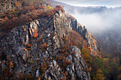 Nebel im Bodetal, bei Thale, Harz, Sachsen-Anhalt, Deutschland, Europa