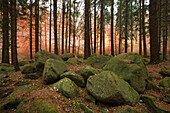 Steinerne Renne, boulders at Holtemme valley, Harz mountains, Saxony-Anhalt, Germany, Europe