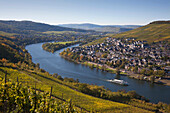 Blick aus den Weinbergen auf Kues, Bernkastel-Kues, Mosel, Rheinland-Pfalz, Deutschland, Europa