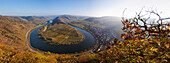 Panorama view from Bremmer Calmont vineyard onto the Moselle sinuosity at Bremm, Moselle river, Rhineland-Palatinate, Germany, Europe