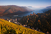 Blick aus den Weinbergen auf Burg Stahleck oberhalb des Rheins, Bacharach, Rheinland-Pfalz, Deutschland, Europa