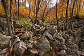 Herbstlicher Laubwald im Naturschutzgebiet Felsenmeer, Sauerland, Nordrhein-Westfalen, Deutschland, Europa