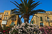 Buildings in Valletta, Malta