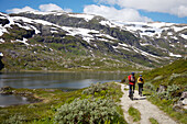 Biking in Rallarvegen, Norway