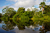 River shore reflecting in water, Peru