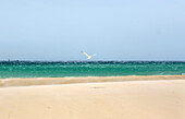 Wind turbines, Costa De La Luz, Andalusia/Andalucia, Southern Spain