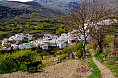 Trevelez town in Sierra Nevada mountains, Andalucia, Spain
