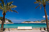 Palm trees and bench in front of beach of Puerto de Soller, Majorca, Ballearic Islands, Spain