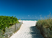 Looking down path to beach, South Beach, Miami, Florida, USA