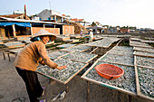 Woman drying fish, Vietnam