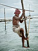 Stilt Fisher climbs on platform for fishing, stilt fishing is only done worldwide in Sri Lanka, Koggala, Weligama Bay, around Unawatuna, Sri Lanka