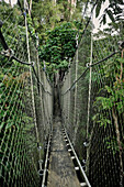 Dschungel Hängebrücke führt zu Baumhaus Hotel, Savaii, Samoa, Südsee
