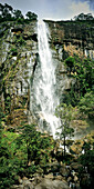 Diyaluma Falls, Haputale Wellawaya, Hill Country, Sri Lanka