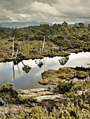 Small lake in the wildernes of Walls of Jerusalem National Park, Tasmania, Australia