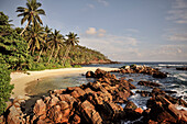 Secluded bay, Palm beach with rocks, Mirissa around Matara, Sri Lanka, Indian Ocean