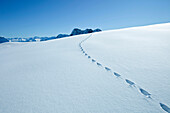 Schneeschuhspur auf dem Zugspitzplatt, Oberbayern, Bayern, Deutschland