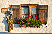 Lederhose hängt an einem Fensterladen, Hofbauern-Alm, Kampenwand, Chiemgau, Oberbayern, Bayern, Deutschland