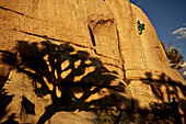 Junger Mann klettert einen Felsen hoch im Joshua Tree National Park, Joshua Tree National Park, Kalifornien, USA