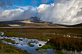 Mist and clouds on Cotopaxi (5897m), in the foreground: Limpiopungo Lagoon, Andes, Ecuador, South America
