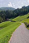 Path leading to a farmhouse, Ulten valley, South Tyrol, Italy
