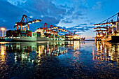 Eurokai Container Terminal, Hafen Hamburg, Deutschland