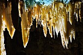 El Soplao Cave Stalactite  Saja-Nansa  Cantabria  Spain
