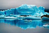 Grey Glacier  Grey lake  Torres del Paine National Park  UNESCO World Biosphere Reserve, Patagonia, Chile, South America