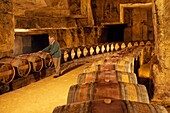 Subterranean Wine Cellar in Chateau Belair Premier Grand Cru Classe  St  Emilion Dordogne Valley  Bordeaux  Aquitaine France
