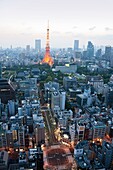 Tokyo City-Minato Ku District-Tokyo Tower-Zojoji Temple.