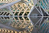 Spain-Valencia Comunity-Valencia City-The City of Arts and Science built by Calatrava