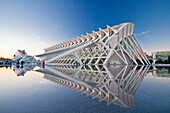 Spain-Valencia Comunity-Valencia City-The City of Arts and Science built by Calatrava-