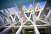 Science Museum, City of Arts and Sciences by S. Calatrava, Valencia, Comunidad Valenciana, Spain