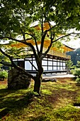 Kinkakuji-Tempel, Der Goldene Pavillon, Rokuon-ji-Tempel, Kyoto, Japan.