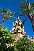 Minaret tower of the Great Mosque, Córdoba  Andalusia, Spain