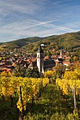 France, Haut-Rhin, Alsace Region, Alasatian Wine Route, Ribeauville, town overview, autumn