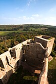 France, Saone-et-Loire Department, Burgundy Region, Maconnais Area, Brancion, chateau ruins