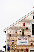 United States of America, USA, North East coast, Lobsters near Kennebunkport, Porpoise Bay Lobster harbour lobster buoy