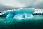 Iceland, Jokulsarlon glacier, icebergs floating on water.