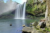 The Maori name for Rainbow Falls on the Kerikeri River is Waianiwaniwa which means Waters of the Rainbow Kerikeri, Bay of Islands, New Zealand