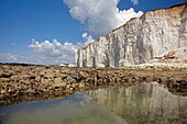 Seven Sisters Chalk Cliffs, Birling Gap, England, United Kingdom
