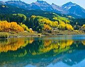 Trout Lake Colorado Fall Colors