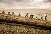 rock figures on log by ocean