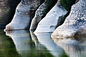 Limestone reflections, Fox River, Paparoa National Park, West Coast, New Zealand